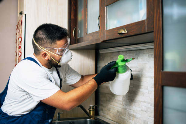 Pest Control Cost in Pine Island Center, FL
