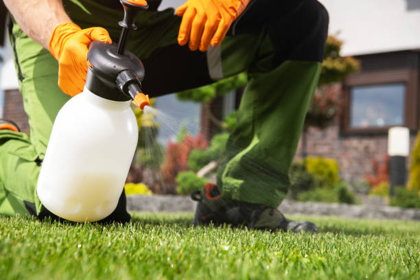 Best Best Pest Control Companies  in Pine Island Center, FL