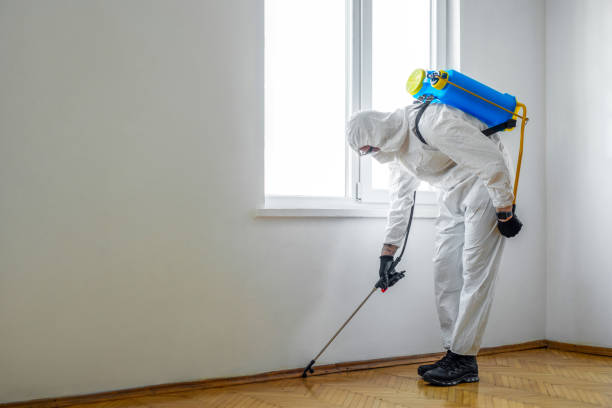 Pine Island Center, FL Pest Control Company