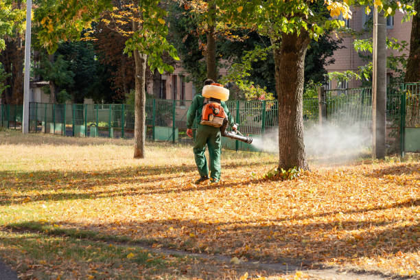 Flea Control Services in Pine Island Center, FL